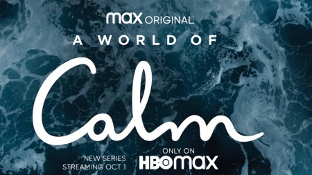 Мир безмятежности (10 серий из 10) / A World of Calm (2020)