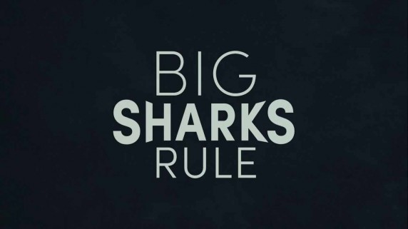 Царство больших акул / Big Sharks Rule (2018)