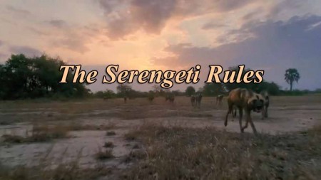 Законы Серенгети / The Serengeti Rules (2019)