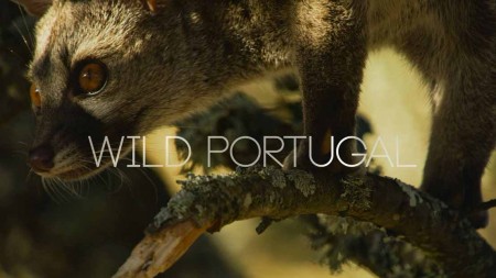 Дикая Португалия / Wild Portugal (2019)