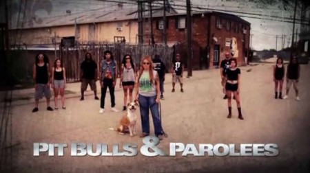 На свободу с питбулем 8 сезон (01-20 серии из 20) / Pit Bulls and Parolees (2016-2017)