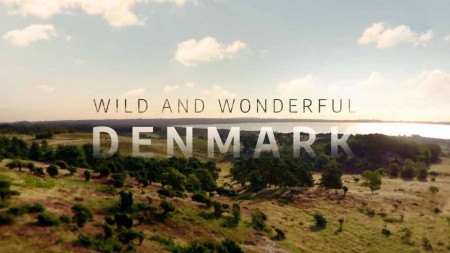 Удивительная Дания (все серии) / Wild and Wonderful Denmark / Vilde vidunderlige Danmark (2020)