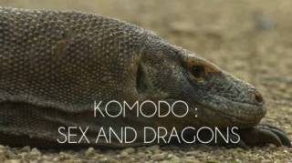 Драконы с острова Комодо. История любви / Komodo: Sex And Dragons (2018)