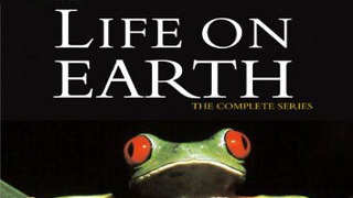 Жизнь на Земле / Life on Earth (1979)