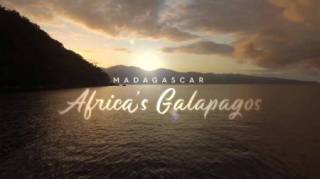 Мадагаскар: Африканский Галапагос / Madagascar: Africa's Galapagos (2019)