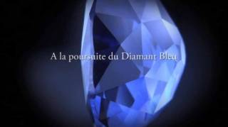 В погоне за голубым бриллиантом / A la poursuite du diamant bleu (2010)