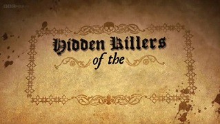 Скрытые убийцы в домах... / Hidden Killers (2013)