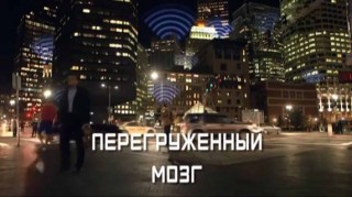 Перегруженный мозг (2017)