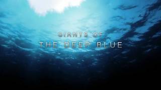 Глубоководные гиганты (Гиганты синей бездны) / Giants of the Deep Blue (2018)