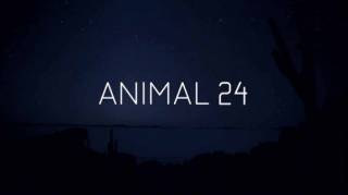 Животные 24 часа / Animal 24 (2017)