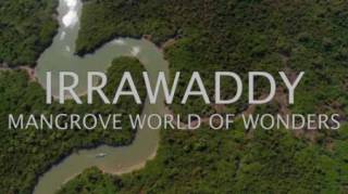 Дельты великих рек. Иравади / Deltas of the World. Irrawaddy Mangrove World Of Wonders (2018)