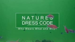 Дресс-код в дикой природе. Кто что носит и почему? (2019)