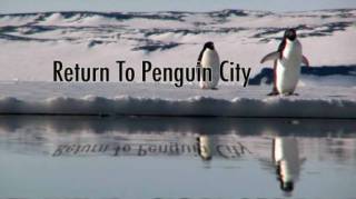 Возвращение в город пингвинов / Return to Penguin City (2008)