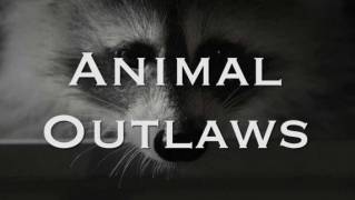 Изгои среди животных. Животные-разбойники / Animal Outlaws (2017)