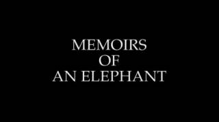 Воспоминания слона / Memoirs of an Elephant (2018)