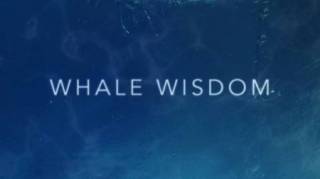 Мудрость китов / Whale Wisdom (2018)