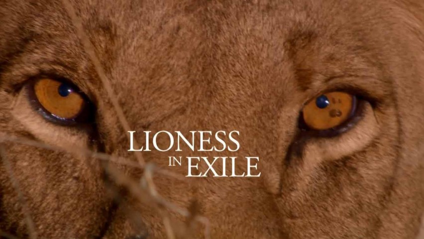 Львица в изгнании / Lioness in Exile (2012)