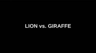 Лев против жирафа / Lion vs. Giraffe (2017)