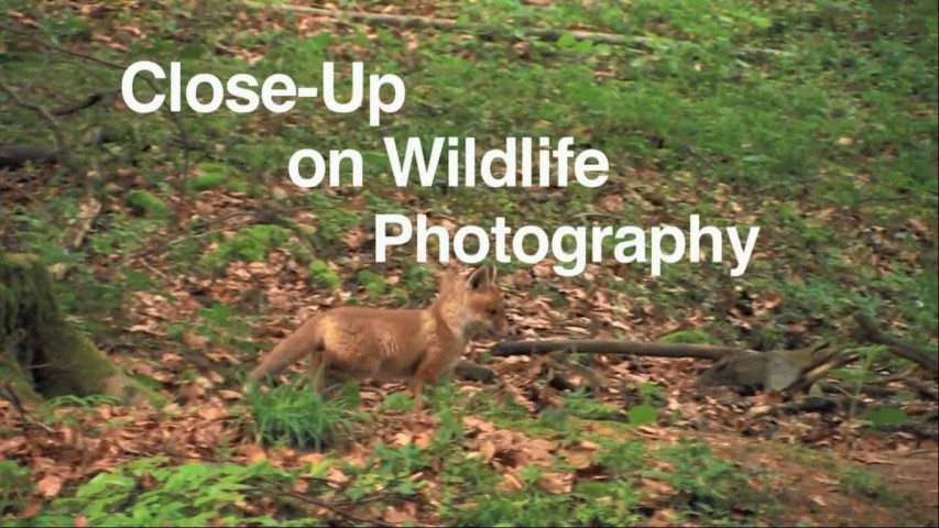 Дикая природа крупным планом / Close-Up Wildlife Photography (2011)