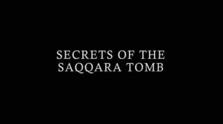 Тайны саккарских гробниц / Secrets of the Saqqara Tomb (2020)