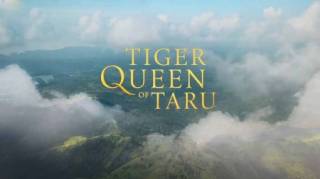 Тигриная королева Тару / Tiger Queen of Taru (2020)