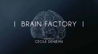 Фабрика мозгов / Brain Factory (2017)