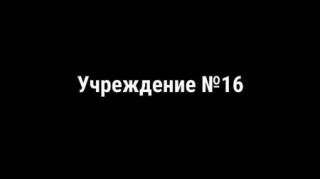 Учреждение № 16 / Institution number 16 (2017)