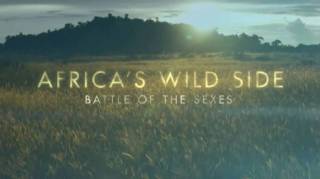 Дикие места Африки. Битва полов / Africa's Wild Side (2018)