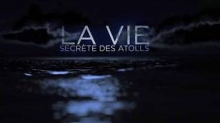 Тайная жизнь атоллов / La vie secrète des atolls de Polynésie (2018)