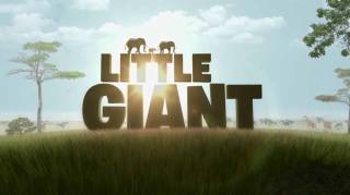 Маленький гигант / Little giant (2015)