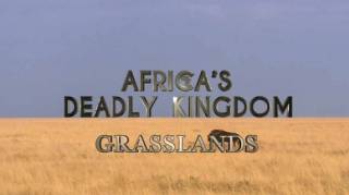 Смертоносная Африка. Степи / Africa's Deadly Kingdom (2018)