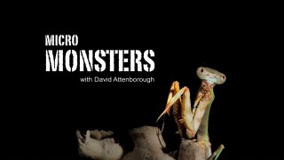 Микромонстры с Девидом Аттенборо / Micro Monsters with David Attenborough (2013)