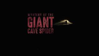 Тайна гигантского пещерного паука / Mystery of the giant cave spider (2017)