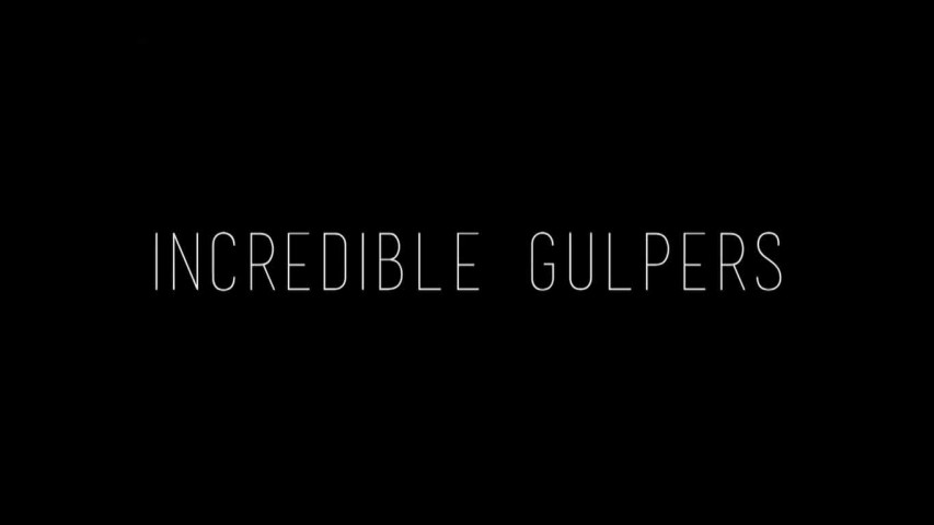 Удивительные большероты / Incredible Gulpers (2016)