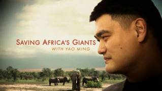 Спасение слонов с Яо Мином / Saving Africa's Giants with Yao Ming (2014)