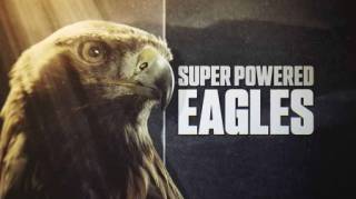 Могучие орлы / Super Powered Eagles (2020)