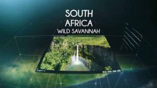 ЮАР. Дикая саванна / South Africa - Wild savannah (2018)