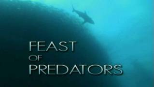 Пиршество хищников / Feast of Predators (2004)