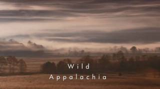 Невиданные Аппалачи / Wild Appalachia (2012)