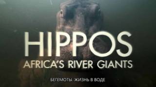 Бегемоты: жизнь в воде / Hippos: Africa's River Giants (2019)