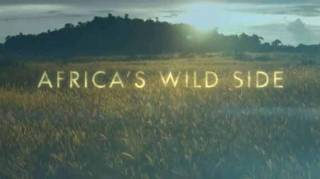 Дикие места Африки. Величайшие архитекторы природы / Africa's Wild Side (2018)