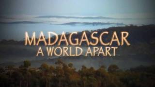 Мадагаскар. Затерянный мир / Madagascar: A World Apart (1999)