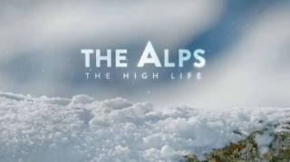 Альпы: Жизнь на высоте / The Alps: High Life (2020)