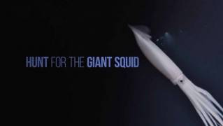 Глубоко в океане / Hunt for the Giant Squid (2019)