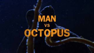 Человек против осьминога / Man vs Octopus (2017)