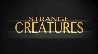 Необычные существа / Strange Creatures Of The Batangas Sea (2017)