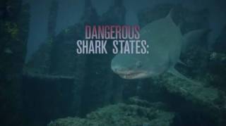 Соединённые штаты акул / United Sharks of America (2015)