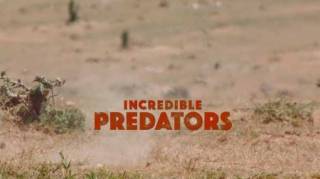 Эти удивительные хищники / Incredible Predators (2016)