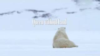 Королева без земли / Queen without Land (2018)