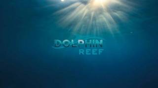 Дельфиний риф / Dolphin Reef (2020)